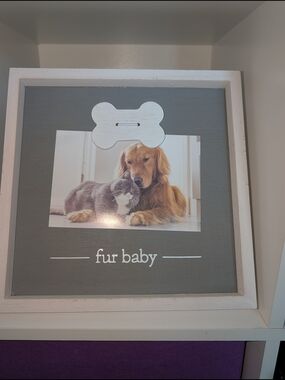 Studio Decor Grey 'Fur Baby' Pet Photo Frame with White Bone Accent